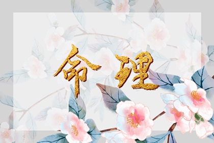 全民农历日历_农历万年历_带农历与黄历的万年历